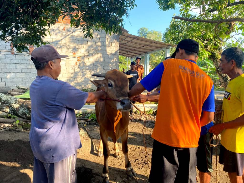 Baksos Idul Adha 1445 H, IMM se-Surabaya Salurkan Puluhan Hewan&nbsp;Kurban
