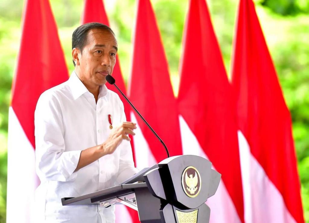 Presiden Jokowi Apresiasi TNI-Polri Atas Kebebasan Pilot Susi&nbsp;Air